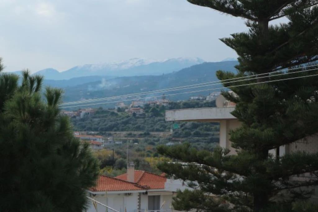 Anestis Apartment Akrata Exterior photo